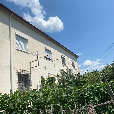 Apartman Vacation Kondi Ilia Petran