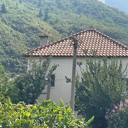 Vacation Kondi Ilia Petran